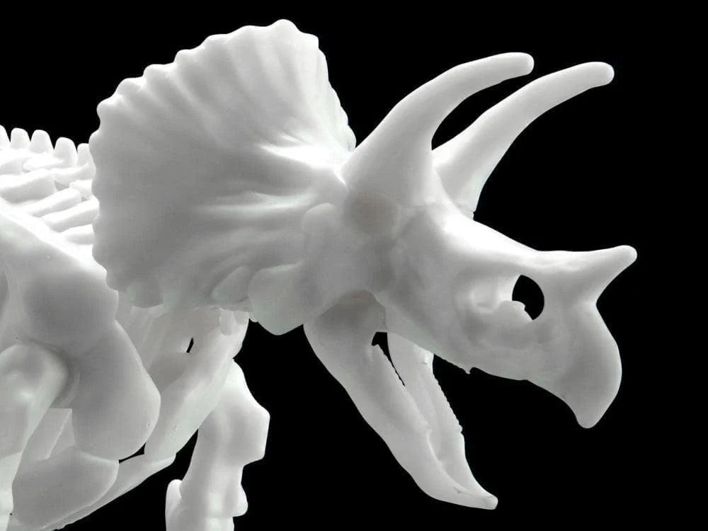 Limex - 1/35 Skeleton - Triceratops