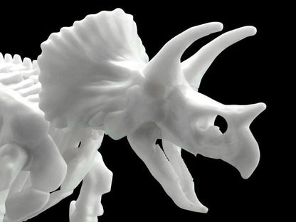 Limex - 1/35 Skeleton - Triceratops