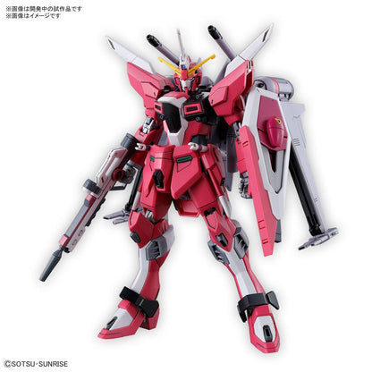 HG 1/144 Infinite Justice Gundam Type II