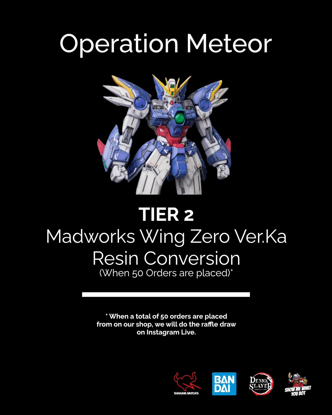 Tier 2 - Madworks Wing Zero Ver.Ka Resin Conversion