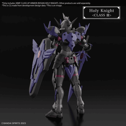 30MF Class Up Armor [Rosan Holy Knight]