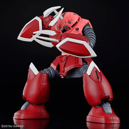 HG 1/144 Z'Gok Seed Freedom Version