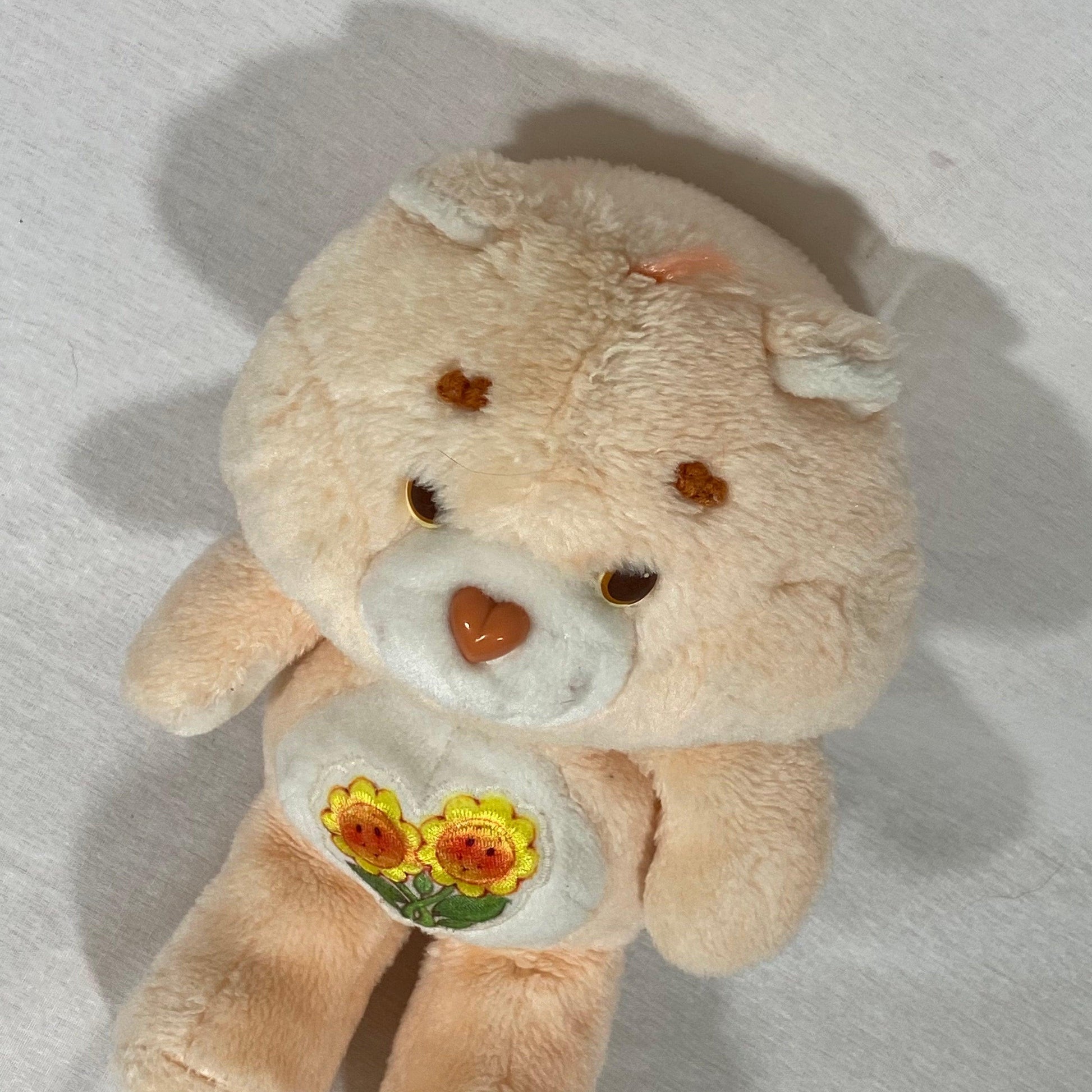 Care Bears | Friend Bear | Vintage Plush - Show Me What You Bot