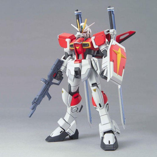 HG 1/144 Sword Impulse Gundam - Show Me What You Bot