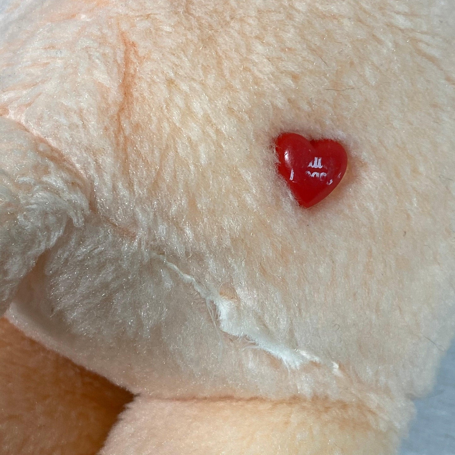 Care Bears | Friend Bear | Vintage Plush - Show Me What You Bot