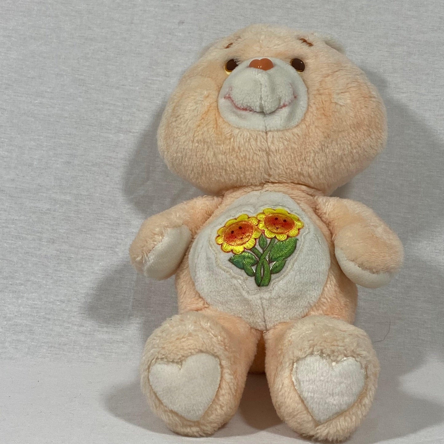 Care Bears | Friend Bear | Vintage Plush - Show Me What You Bot