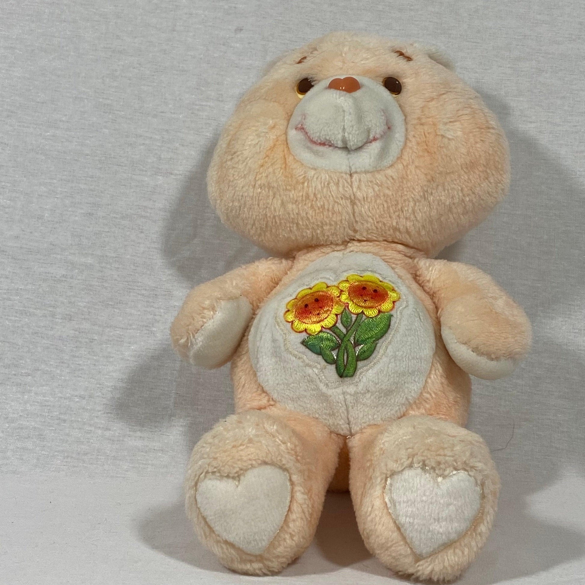 Care Bears | Friend Bear | Vintage Plush - Show Me What You Bot