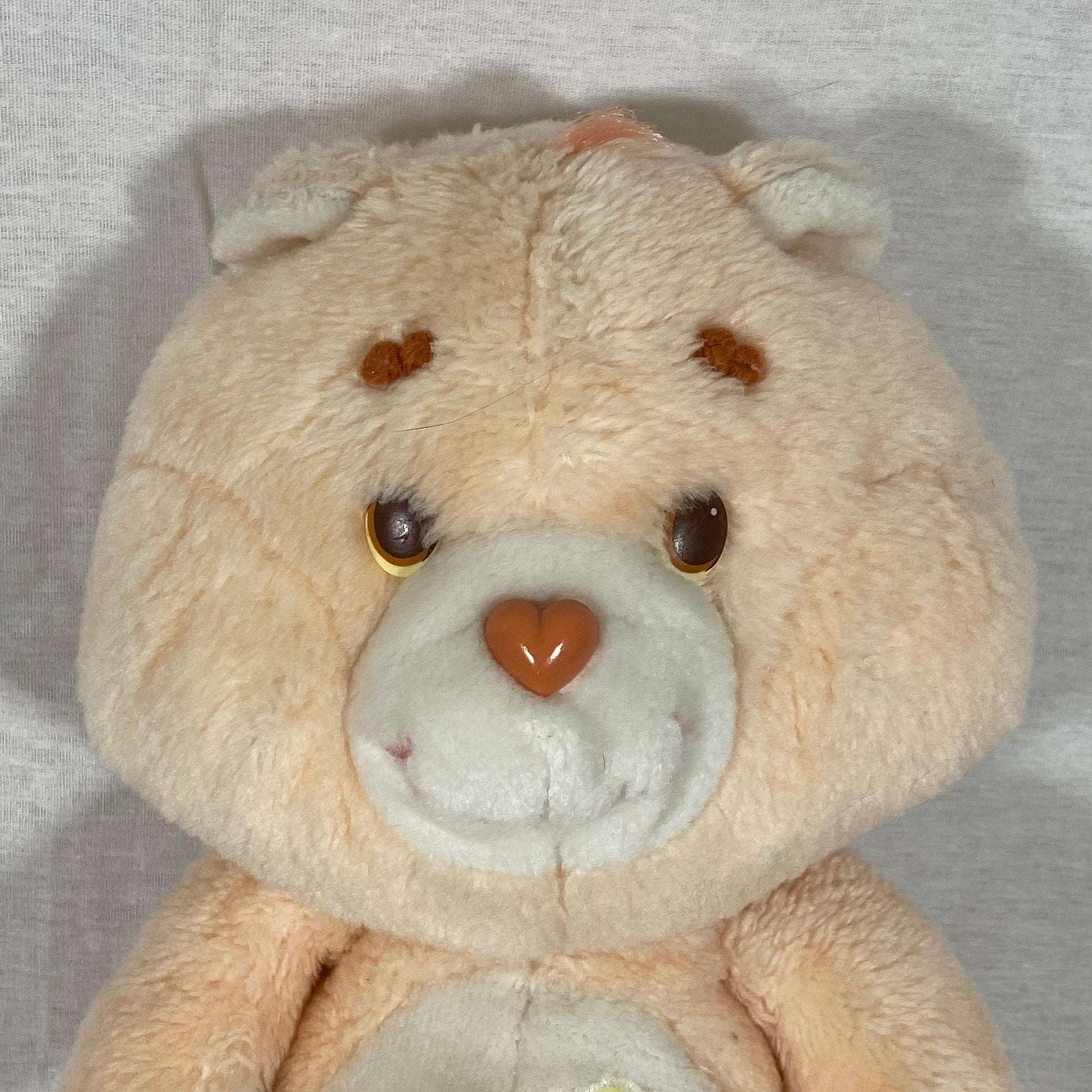 Care Bears | Friend Bear | Vintage Plush - Show Me What You Bot