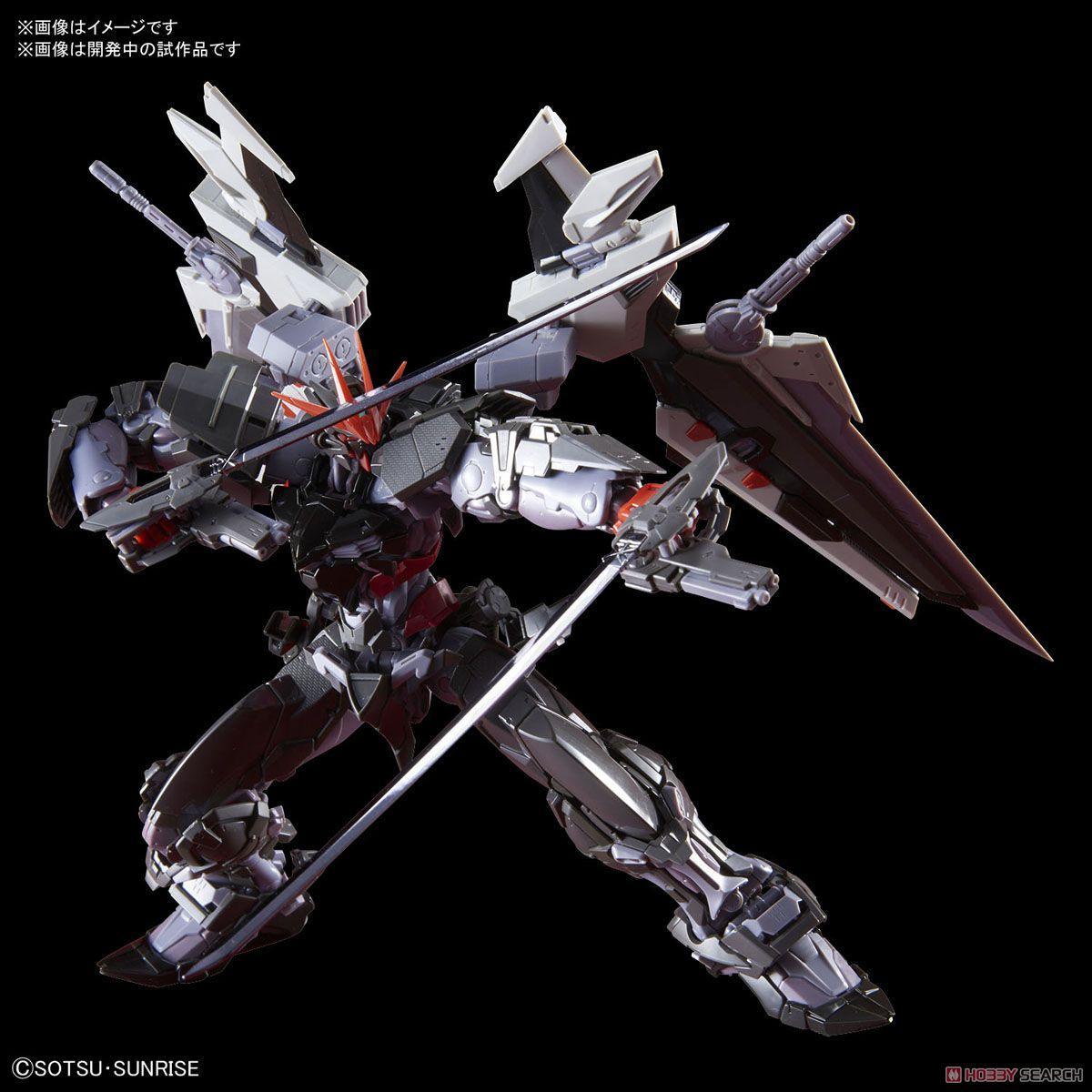 1/100 HiRM Gundam Astray Noir - Show Me What You Bot