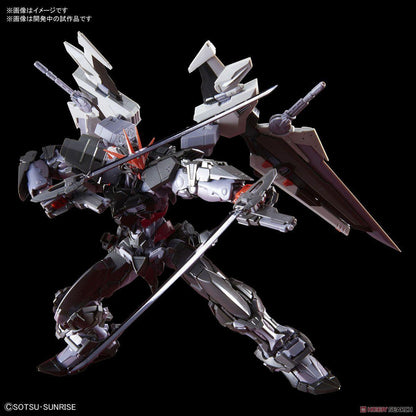1/100 HiRM Gundam Astray Noir - Show Me What You Bot