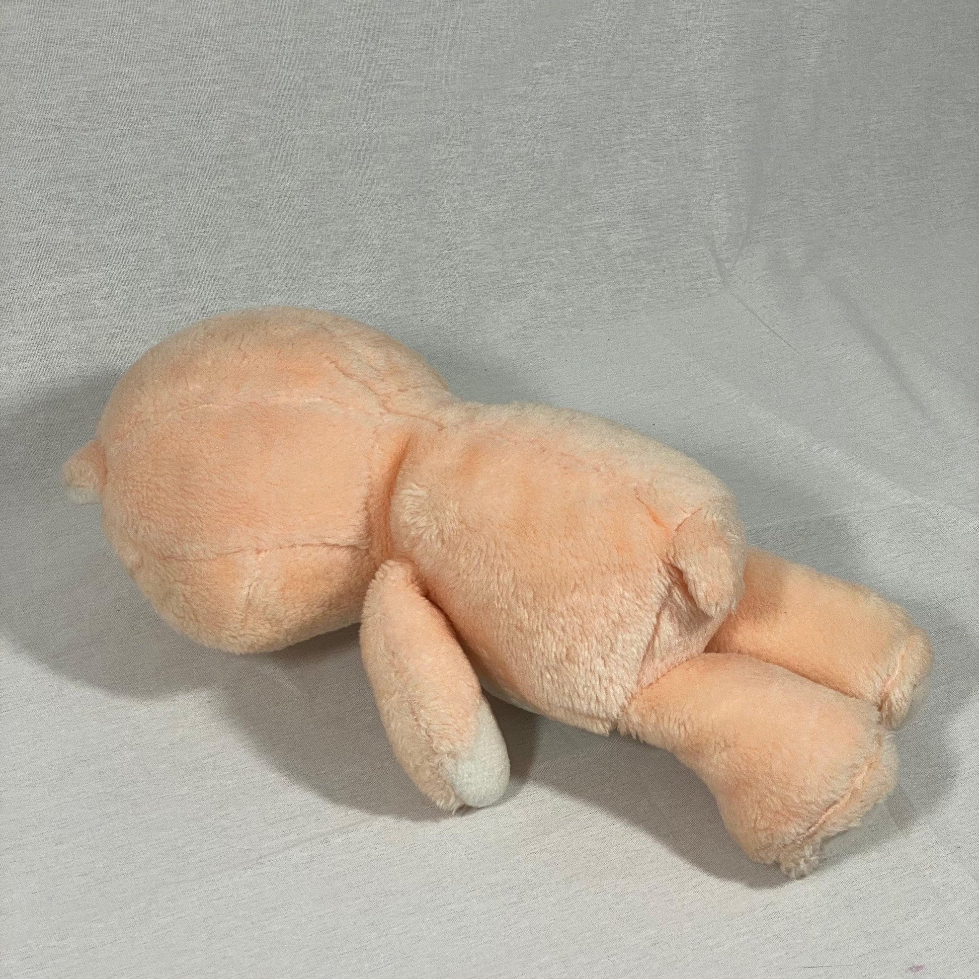 Care Bears | Friend Bear | Vintage Plush - Show Me What You Bot