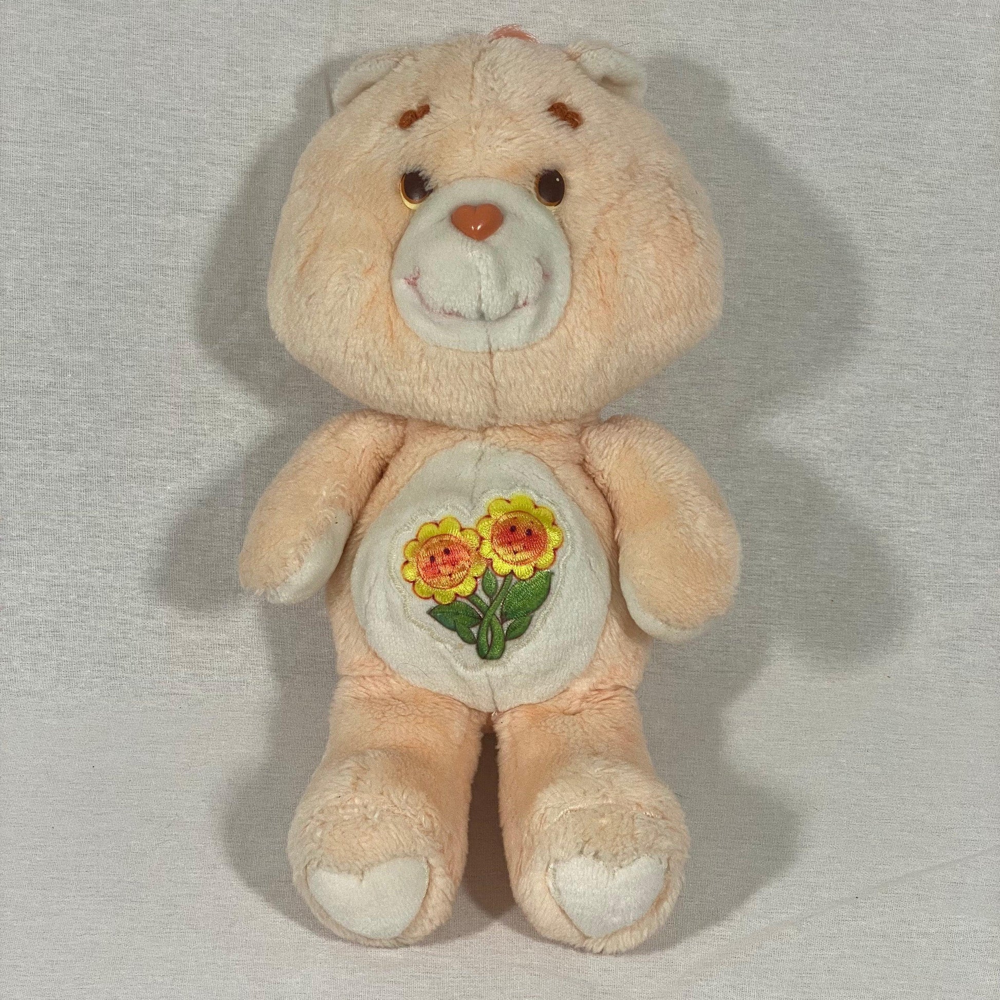 Care Bears | Friend Bear | Vintage Plush - Show Me What You Bot